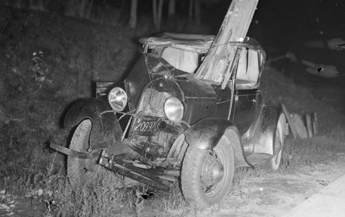 1933 tree growing in car